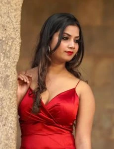 call girl service in Narsipur